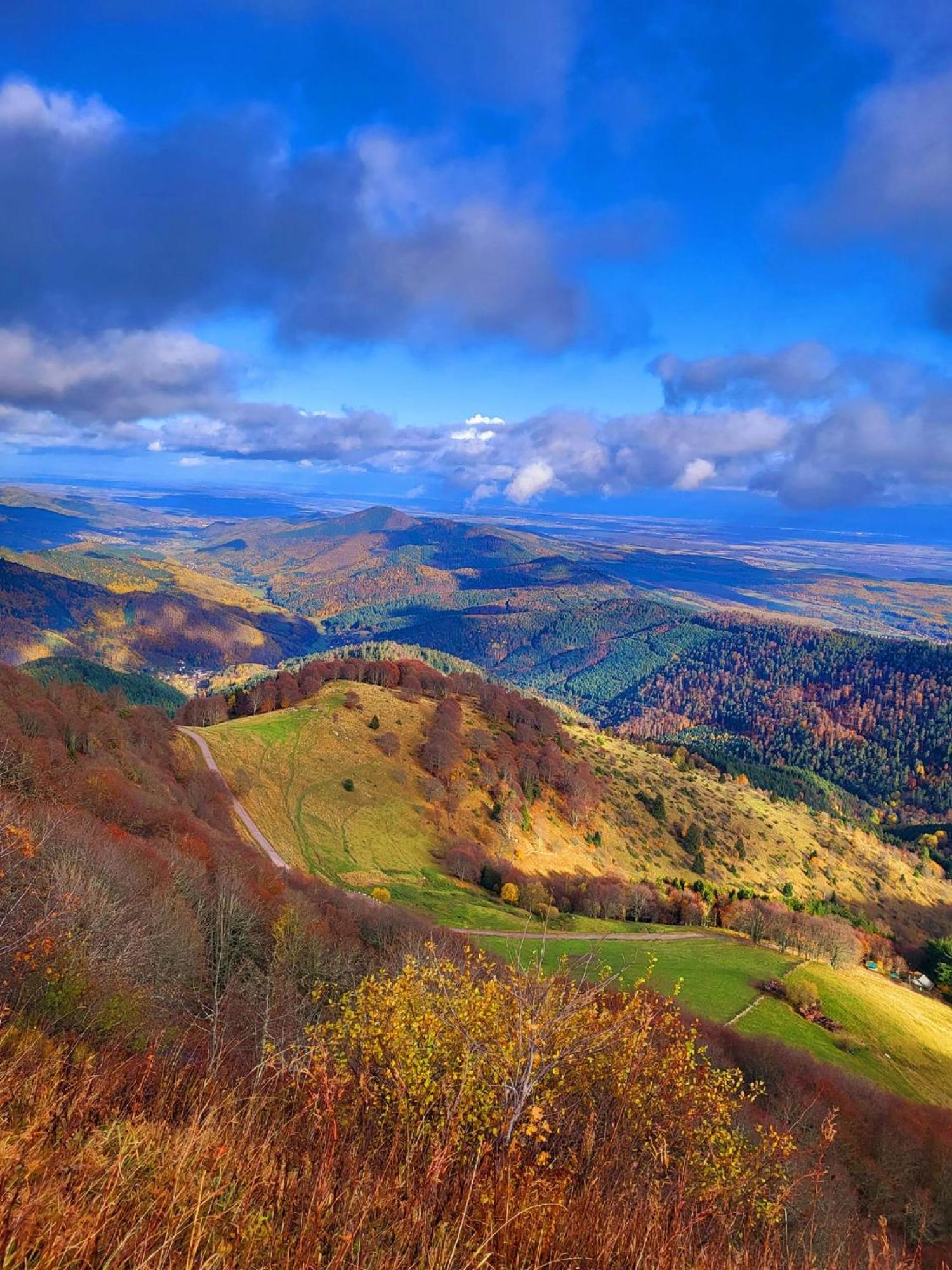 Le Panorama Du Murat Mulhouse Riedisheim 68 Haut-Rhin Alsace Saint-Louis Extérieur photo
